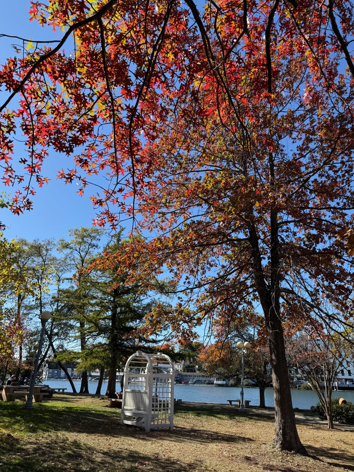 The Westport Library - Charlotte Booth