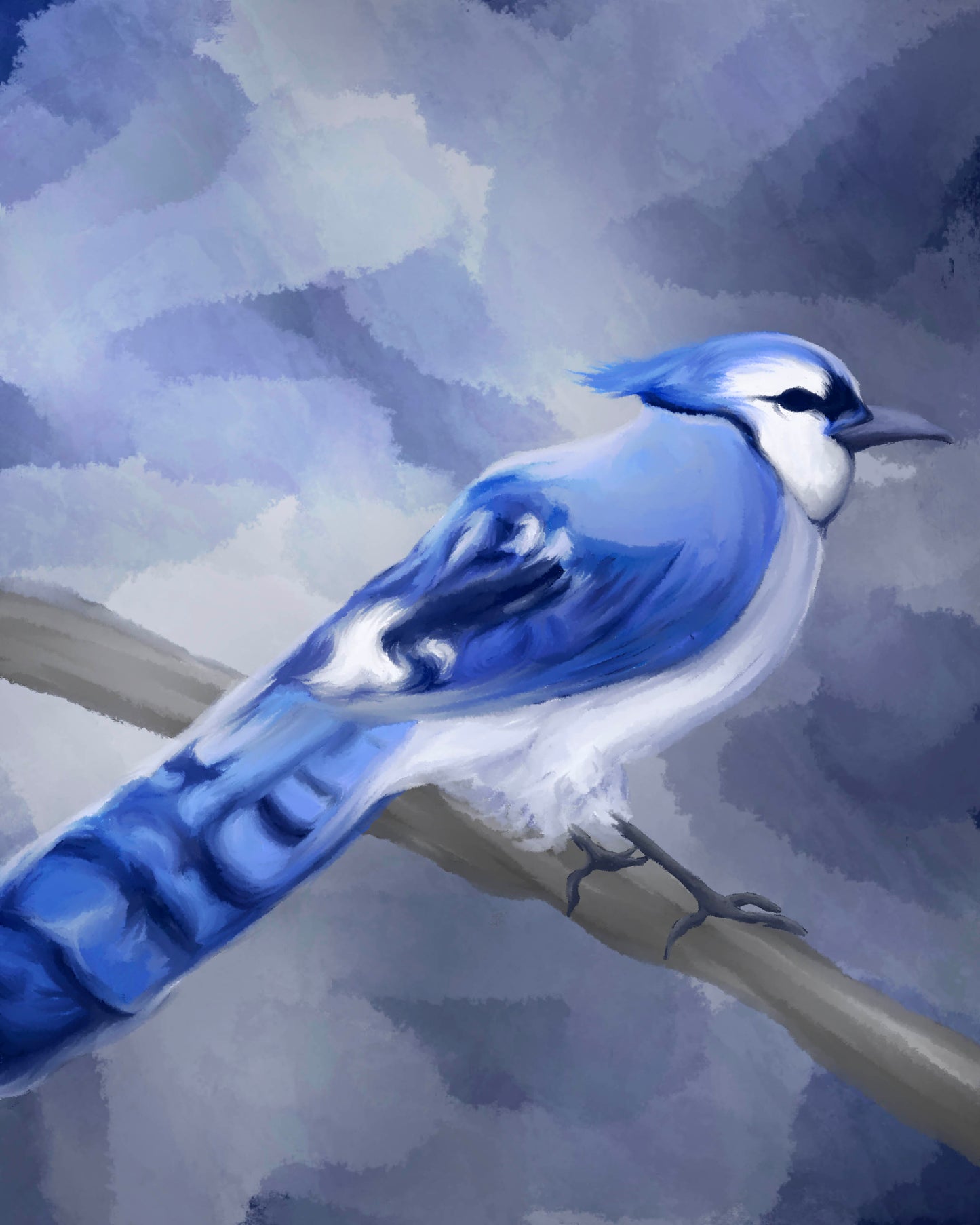 Blue Jay - Allison Cancro