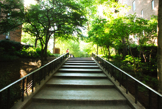 Staircase - Dylan Endich