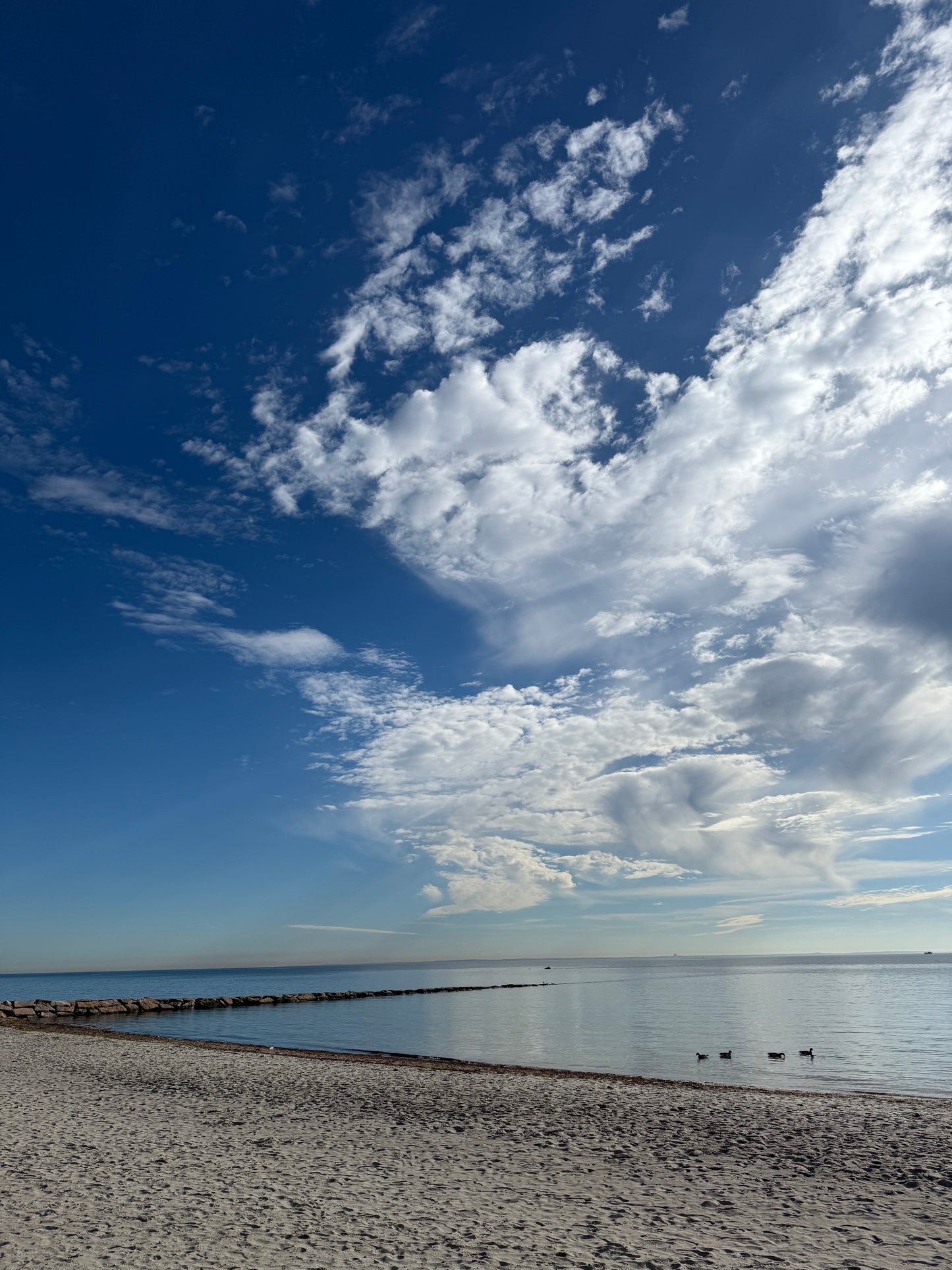 Compo - Charlotte Booth